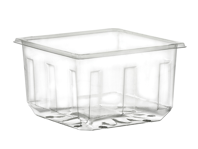 DCP 1 Pint Clear Sprout Container by DCP. DCP
