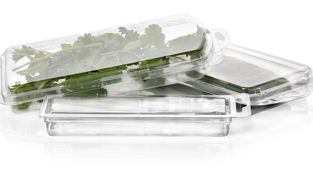 Discoun Clear Pack Herb Containers