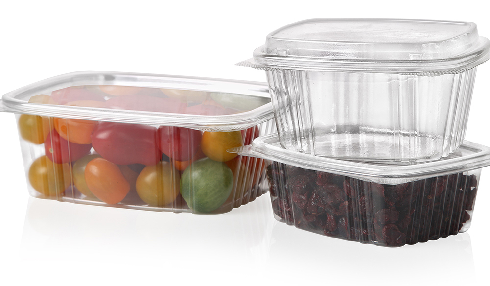 Discount Clear Pack Rectangular Clamshell Container